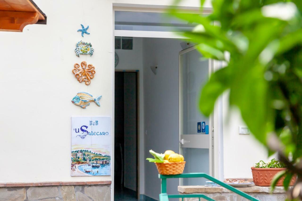 Bed and Breakfast 'U Salecaro Agropoli Exteriér fotografie